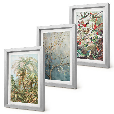 Set 3 tablouri Plante tropicale și păsări colorate în natură