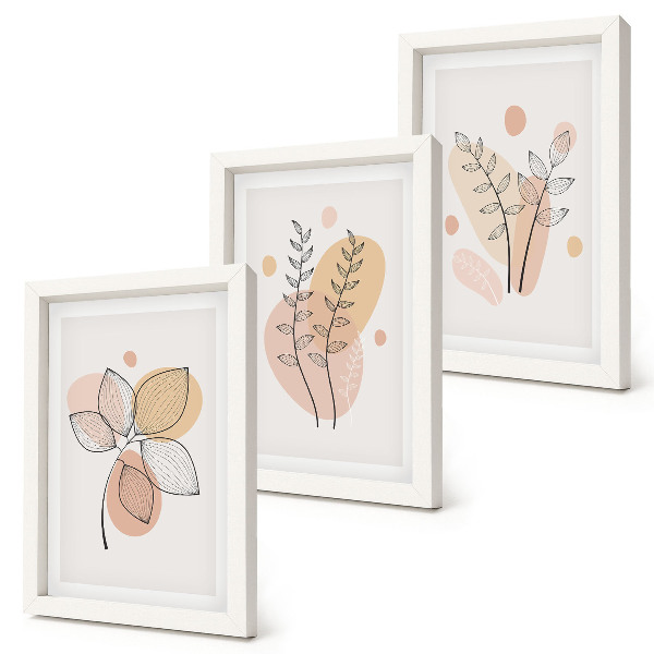 Galerie de perete Desene minimaliste cu plante în culori pastelate