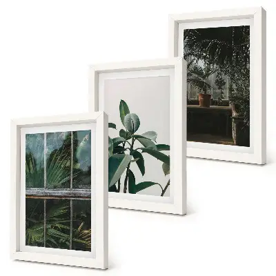 Galerie de perete cu frunze verzi pe fereastră și plante în interior