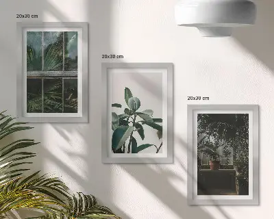 Galerie de perete cu frunze verzi pe fereastră și plante în interior