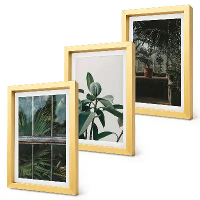Galerie de perete cu frunze verzi pe fereastră și plante în interior