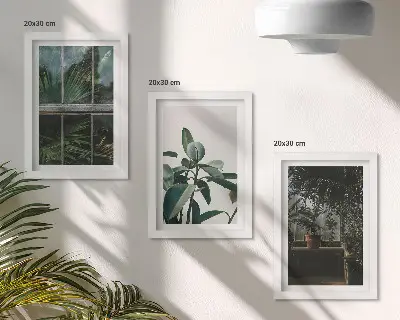 Galerie de perete cu frunze verzi pe fereastră și plante în interior
