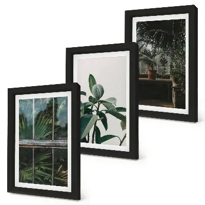 Galerie de perete cu frunze verzi pe fereastră și plante în interior