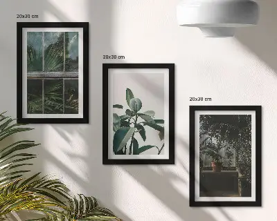 Galerie de perete cu frunze verzi pe fereastră și plante în interior