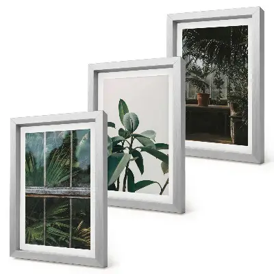 Galerie de perete cu frunze verzi pe fereastră și plante în interior