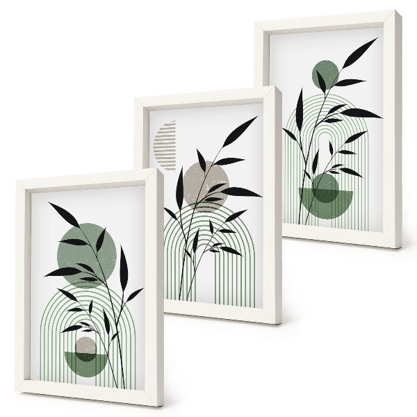 Set 3 tablouri Compoziții abstracte de plante, stil boho