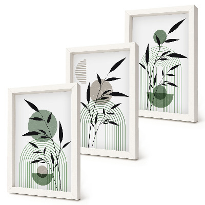 Set 3 tablouri Compoziții abstracte de plante, stil boho
