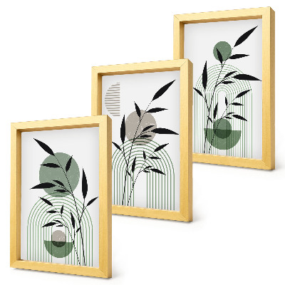 Set 3 tablouri Compoziții abstracte de plante, stil boho