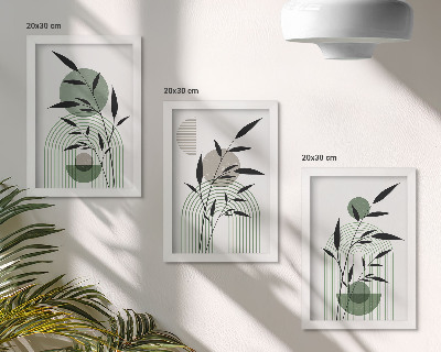 Set 3 tablouri Compoziții abstracte de plante, stil boho