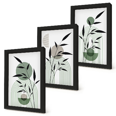 Set 3 tablouri Compoziții abstracte de plante, stil boho