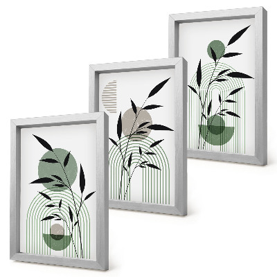 Set 3 tablouri Compoziții abstracte de plante, stil boho