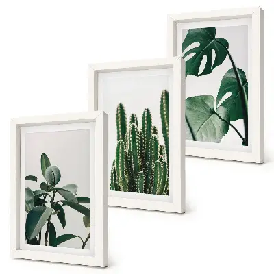 Set 3 tablouri cu plante tropicale de apartament și frunze estetice