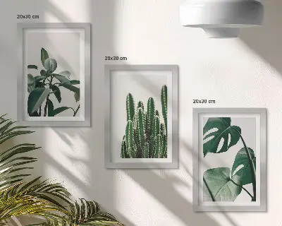 Set 3 tablouri cu plante tropicale de apartament și frunze estetice