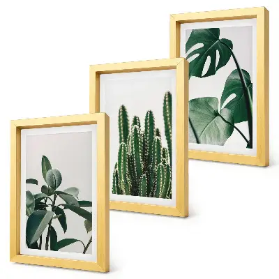 Set 3 tablouri cu plante tropicale de apartament și frunze estetice