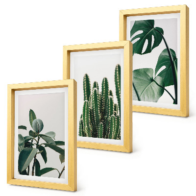 Set 3 tablouri Plante tropicale de apartament cu frunze estetice