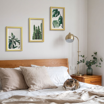 Set 3 tablouri Plante tropicale de apartament cu frunze estetice