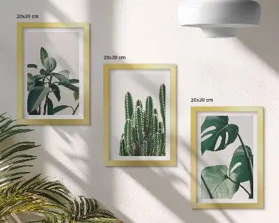 Set 3 tablouri cu plante tropicale de apartament și frunze estetice
