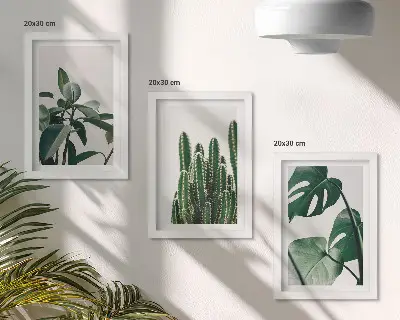 Set 3 tablouri cu plante tropicale de apartament și frunze estetice