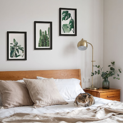 Set 3 tablouri Plante tropicale de apartament cu frunze estetice
