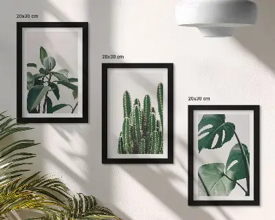 Set 3 tablouri cu plante tropicale de apartament și frunze estetice