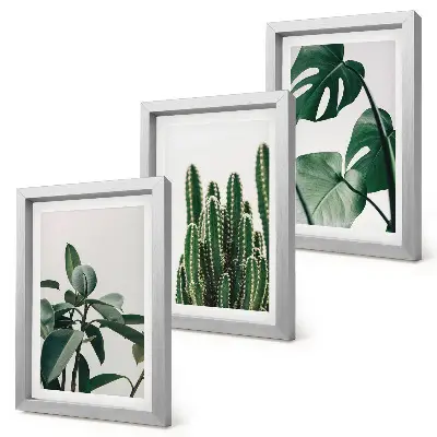 Set 3 tablouri cu plante tropicale de apartament și frunze estetice