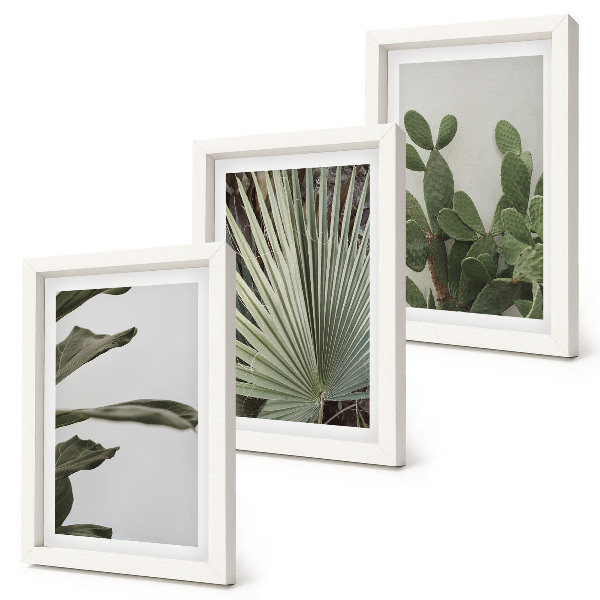 Set 3 tablouri Frunze de plante tropicale în culori pastelate
