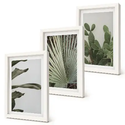 Set de 3 tablouri cu frunze de plante tropicale în culori pastelate