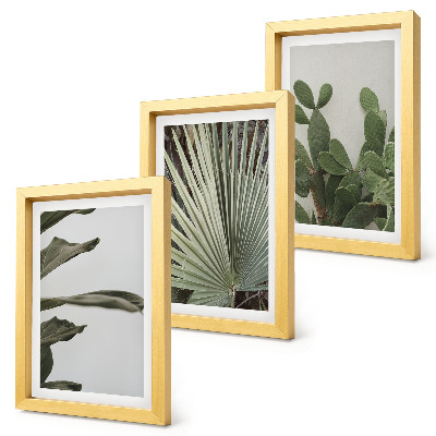 Set 3 tablouri Frunze de plante tropicale în culori pastelate