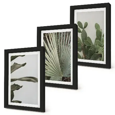 Set de 3 tablouri cu frunze de plante tropicale în culori pastelate
