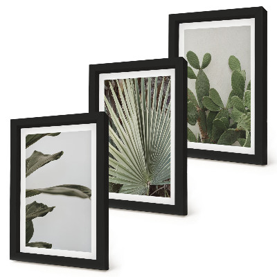 Set 3 tablouri Frunze de plante tropicale în culori pastelate