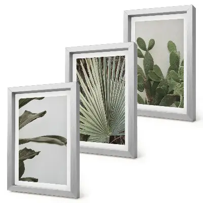 Set de 3 tablouri cu frunze de plante tropicale în culori pastelate