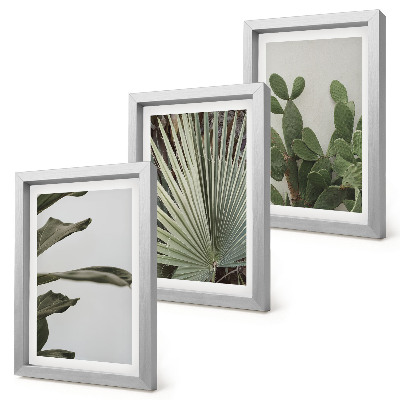 Set 3 tablouri Frunze de plante tropicale în culori pastelate
