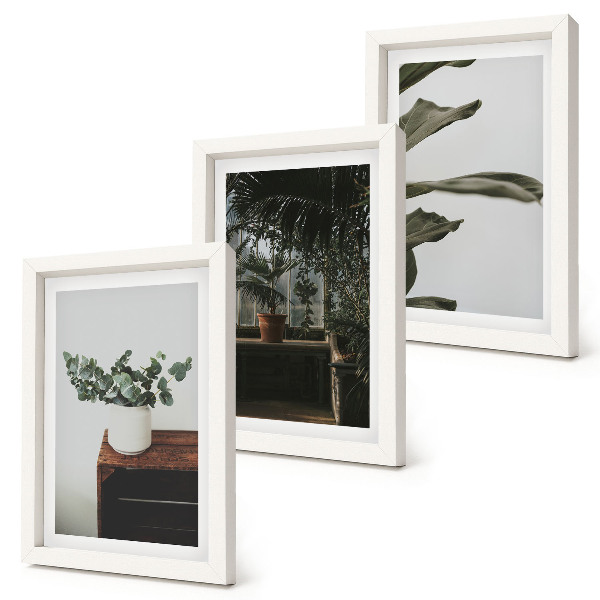 Set 3 tablouri Plante în ghiveci cu frunze rustice