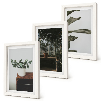 Set 3 tablouri Plante în ghiveci cu frunze rustice