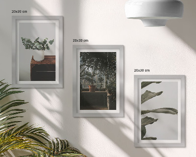 Set 3 tablouri Plante în ghiveci cu frunze rustice