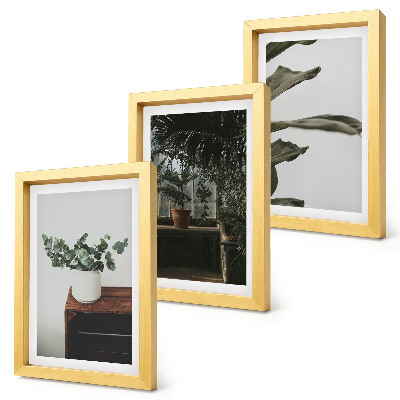 Set 3 tablouri Plante în ghiveci cu frunze rustice