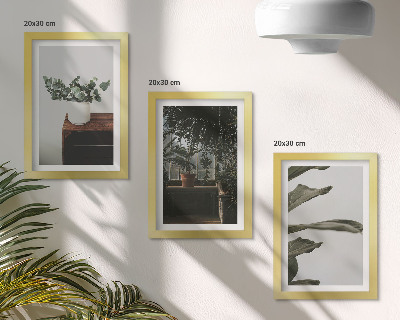 Set 3 tablouri Plante în ghiveci cu frunze rustice