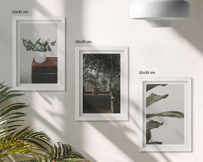 Set 3 tablouri Plante în ghiveci cu frunze rustice