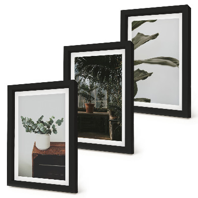 Set 3 tablouri Plante în ghiveci cu frunze rustice
