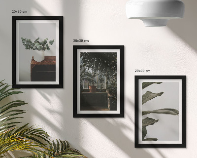 Set 3 tablouri Plante în ghiveci cu frunze rustice