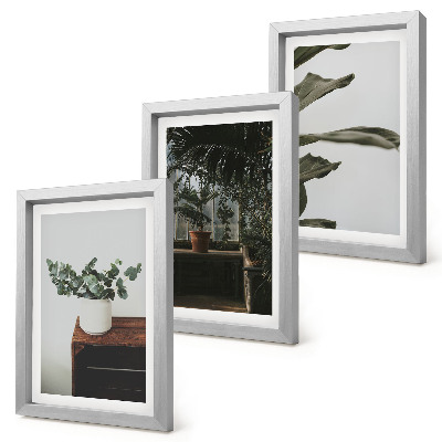 Set 3 tablouri Plante în ghiveci cu frunze rustice