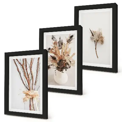 Galerie de perete cu flori și ramuri în stil minimalist natural