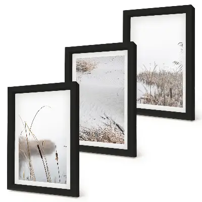 Set de 3 tablouri vegetație acvatică cu peisaje delicate de vară