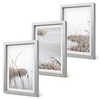 Set 3 tablouri Vegetație acvatică, priveliști delicate de vară