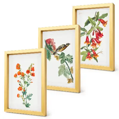 Set 3 tablouri cu flori în stil retro și o pasăre pe ramură