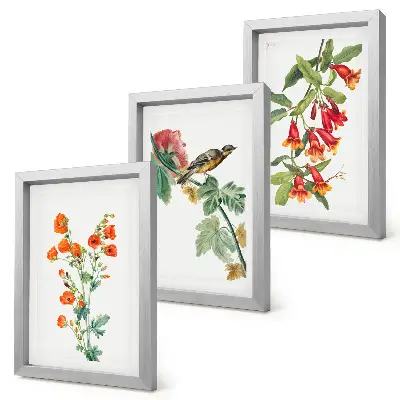 Set 3 tablouri cu flori în stil retro și o pasăre pe ramură