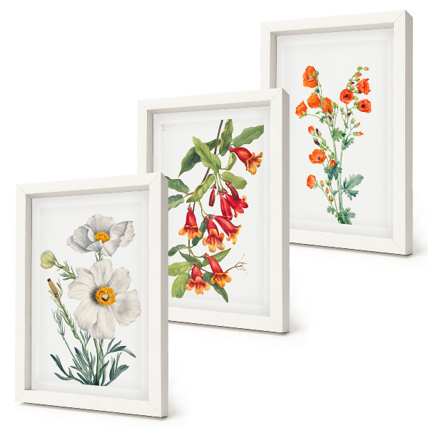 Set 3 tablouri Pictură retro vintage cu compoziții florale