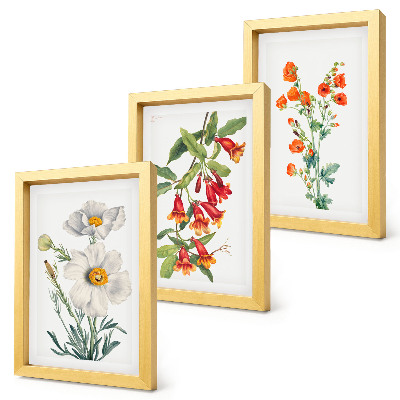 Set 3 tablouri Pictură retro vintage cu compoziții florale