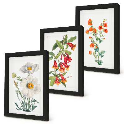Set 3 tablouri Pictură retro vintage cu compoziții florale