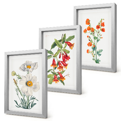 Set 3 tablouri Pictură retro vintage cu compoziții florale